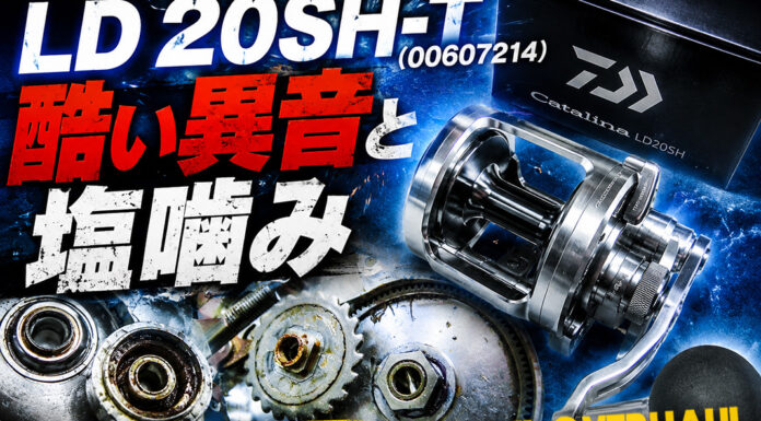 ダイワ キャタリナLD 20SH-T (00607214) 酷い異音 修理写真