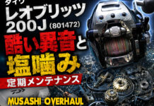 ダイワ 17 レオブリッツ 200J (801472) 酷い異音と塩噛み メンテナンス写真