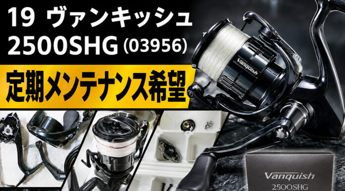 シマノ SHIMANO 19 ヴァンキッシュ 2500SHG (03956) メンテナンス修理写真