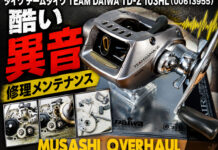 ダイワ チームダイワ TEAM DAIWA TD-Z 103HL (00613955) 酷い異音メンテナンス写真