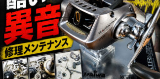 ダイワ チームダイワ TEAM DAIWA TD-Z 103HL (00613955) 酷い異音メンテナンス写真