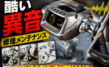 ダイワ チームダイワ TEAM DAIWA TD-Z 103HL (00613955) 酷い異音メンテナンス写真