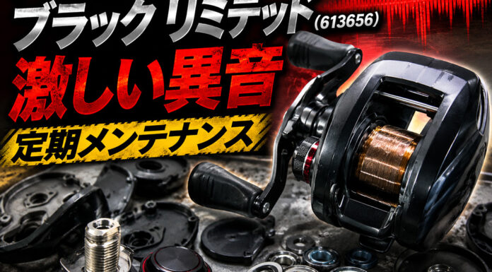 ダイワ Z 2020SHL ブラック リミテッド (613656) 激しい異音修理写真