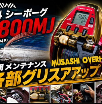 ダイワ DAIWA 24 シーボーグ G800MJ (00810049) 定期メンテナンス 分解図 展開図 見取り図