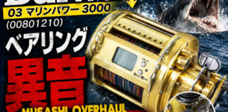 ダイワ DAIWA 03 マリンパワー3000 (00801210) メンテナンス修理写真