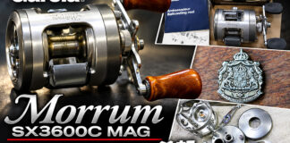 アブガルシア Abu Garcia モラム SX3600C MAG (74470361) メンテナンス修理写真