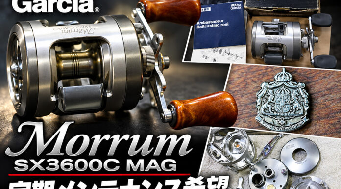 アブガルシア Abu Garcia モラム SX3600C MAG (74470361) メンテナンス修理写真