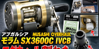 アブガルシア Abu Garcia モラム SX3600C IVCB コグウィール割れ修理購入写真