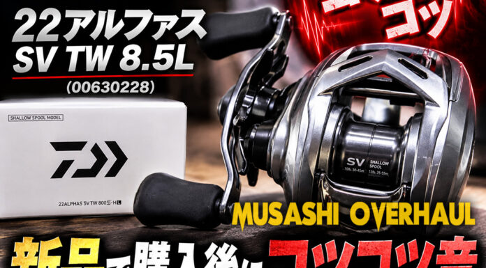ダイワ DAIWA 22アルファスSV TW 8.5L (00630228) 新品で購入後にコツコツ音 メンテナンス修理写真