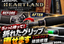 ダイワ DAIWA ハートランド 742HRB-SV12（疾風琵琶湖スペック) (01402160)(4960652826853) ロッド修理写真