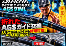 DAIWA ダイワ 12 エメラルダス AGS 91ML (01474105) (4960652873598) ガイド修理写真