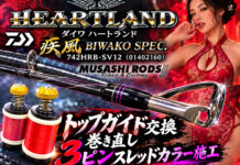 ダイワ ハートランド 疾風 BIWAKO SPEC 742HRB-SV12 (01402160) トップガイド交換修理写真