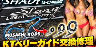 DESIGNO デジーノ スラング SHADY LS-C74MHRST KTベリーガイド交換写真